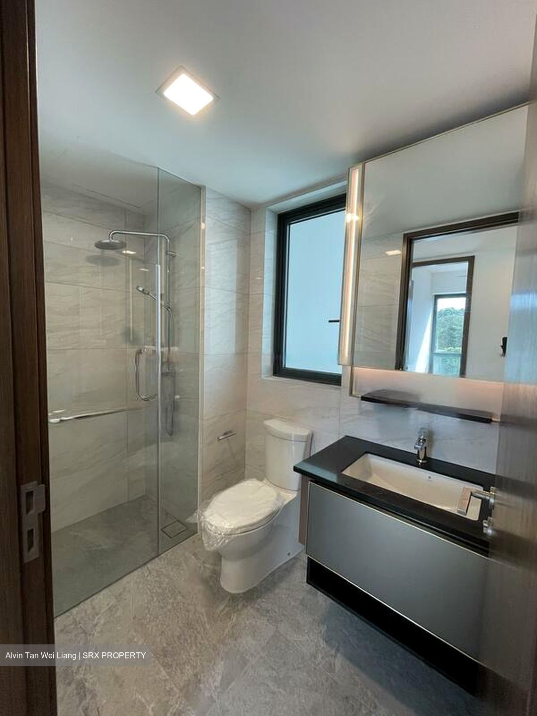 Normanton Park (D5), Apartment #453283551